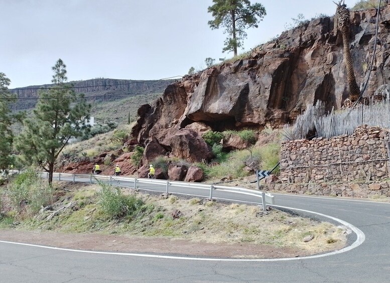 Picture 2 for Activity Maspalomas: Ayagaures Hills E-Bike Tour Optional Tapas