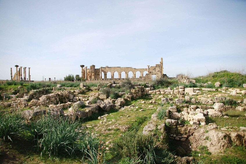 Picture 6 for Activity 2-Day Tour From Fes: Volubilis, Meknès & Chefchaouen