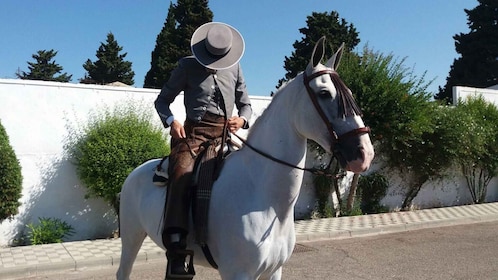 Desde Sevilla: paseo a caballo andaluz