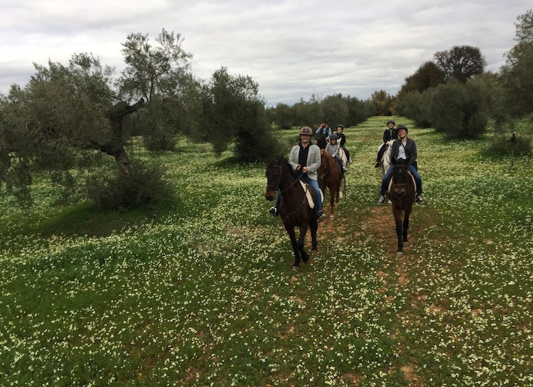 Picture 6 for Activity From Seville: Andalusian Horseback Ride