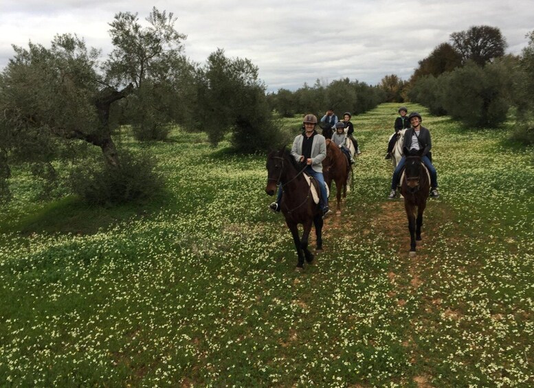 Picture 5 for Activity From Seville: Andalusian Horseback Ride