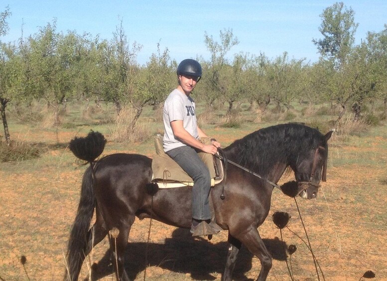 Picture 9 for Activity From Seville: Andalusian Horseback Ride