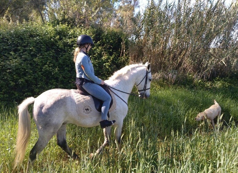 Picture 5 for Activity From Seville: Andalusian Horseback Ride