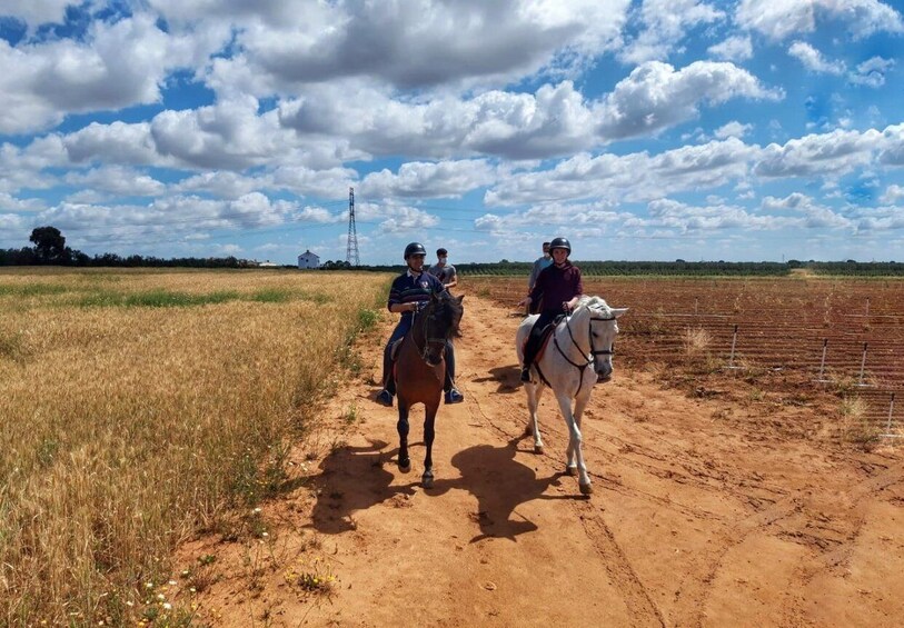 Picture 4 for Activity From Seville: Andalusian Horseback Ride