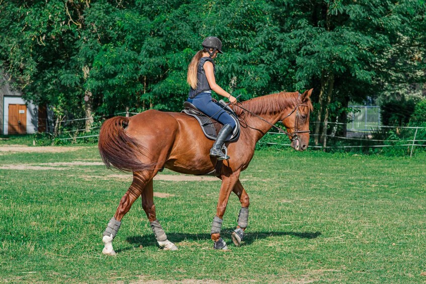 Picture 8 for Activity From Seville: Andalusian Horseback Ride