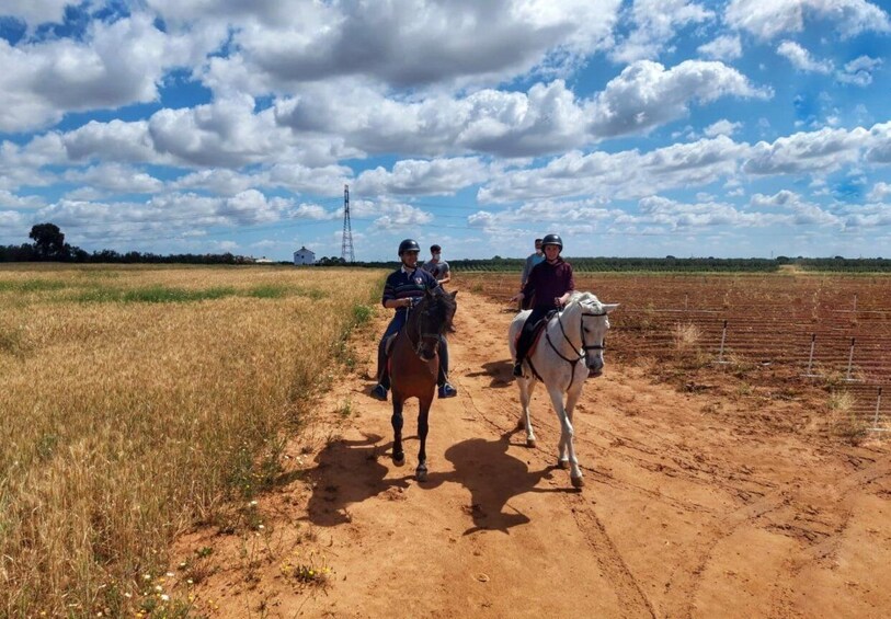 Picture 2 for Activity From Seville: Andalusian Horseback Ride