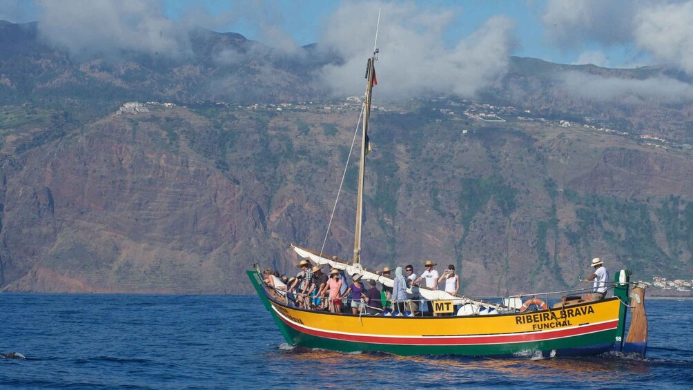 Picture 12 for Activity Madeira: Whale Watching Excursion in a Traditional Vessel