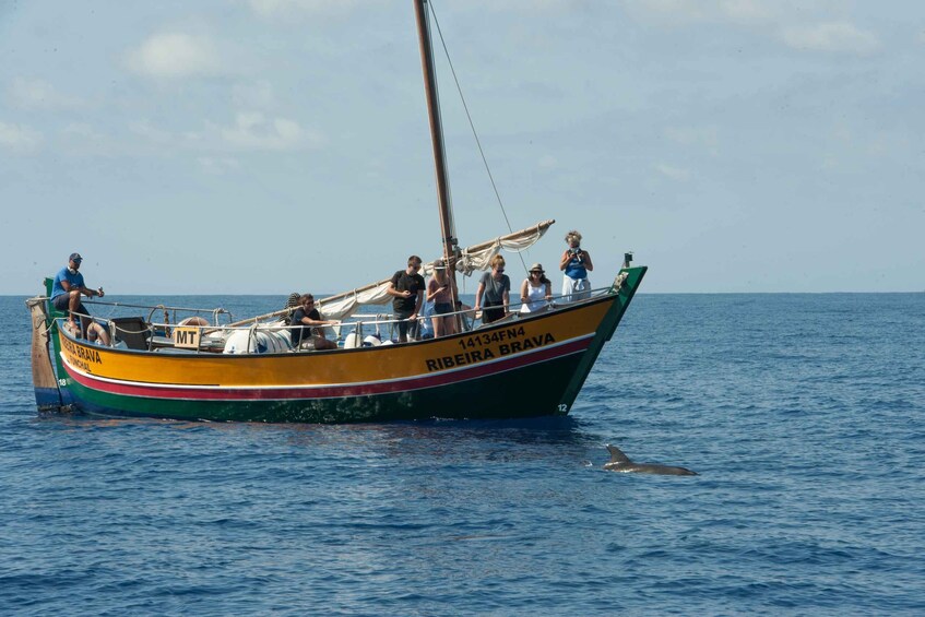 Picture 9 for Activity Madeira: Whale Watching Excursion in a Traditional Vessel