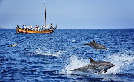 Madère : Excursion d'observation des baleines dans un bateau traditionnel