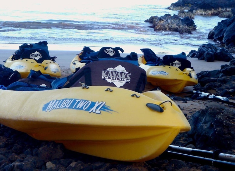 Picture 4 for Activity Maui: Premium Turtle Town Kayak and Snorkel Tour