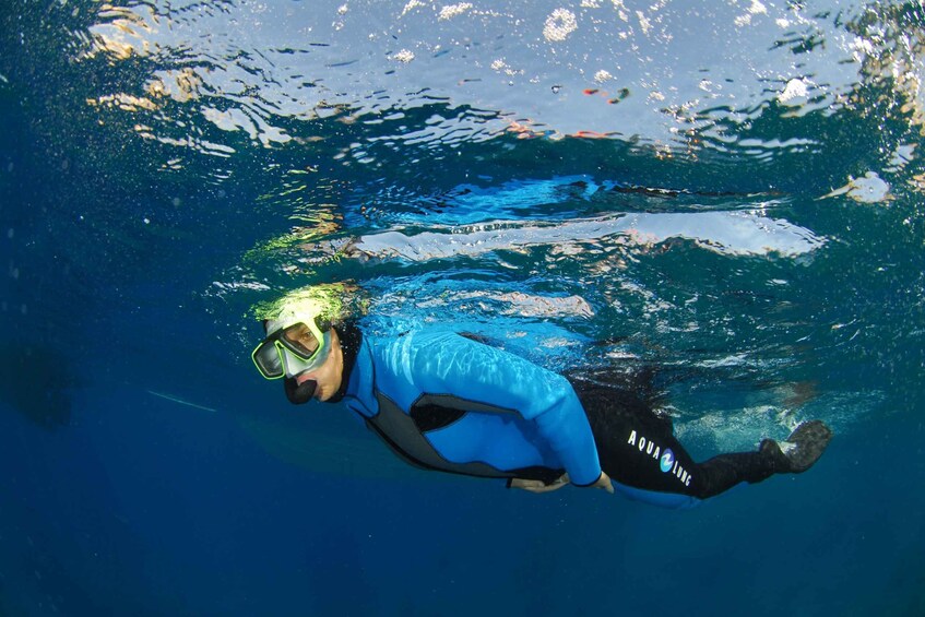 Picture 2 for Activity Calvi: Pointe de la Revellata Snorkeling Boat Tour