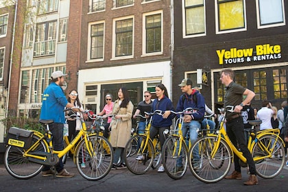 Amsterdam: begeleide fietstocht van 2 uur langs de hoogtepunten van de stad
