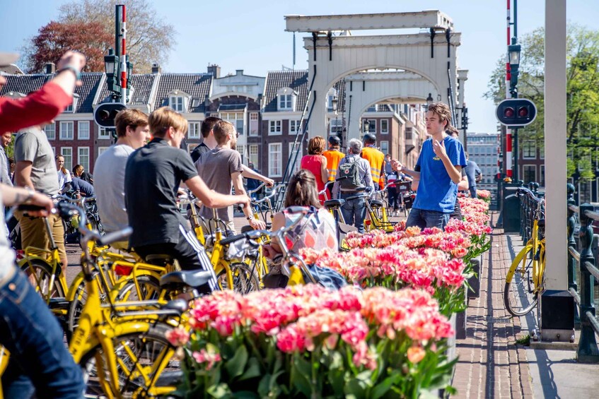 Picture 8 for Activity Amsterdam: 2-Hour City Highlights Guided Bike Tour