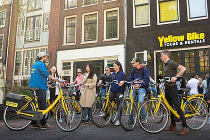 Amsterdam: visite guidée à vélo de 2 heures des points forts de la ville