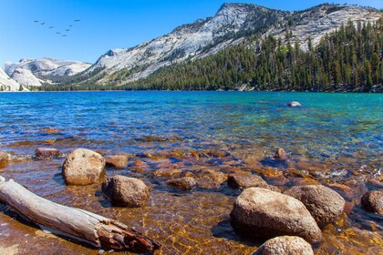 Yosemite National Park: GPS Audio Driving Tour - Explore at Your Own Pace