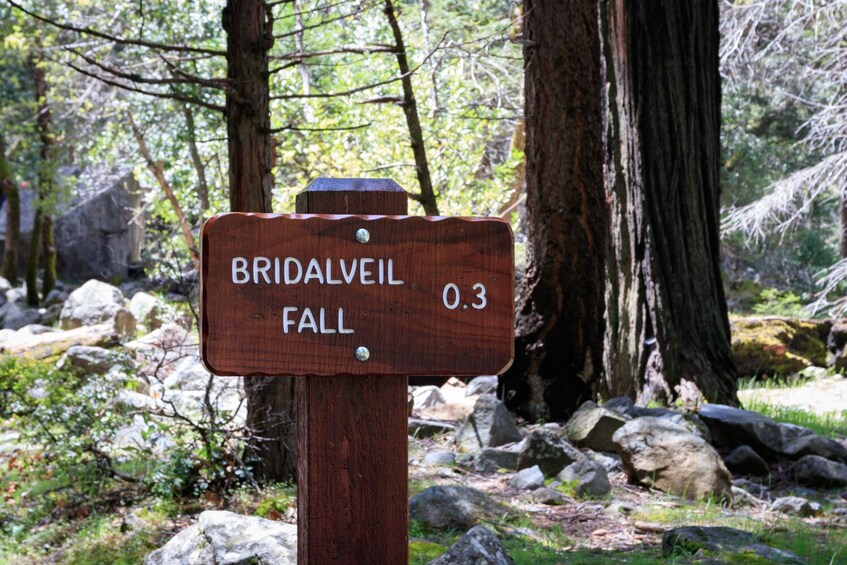 Yosemite National Park Self-Guided Driving Audio Tour