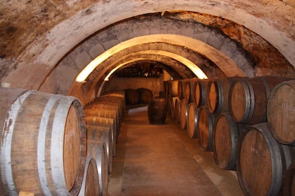 Loire-Tal Tour & Weinverkostung Vouvray, Chinon, Bourgueil