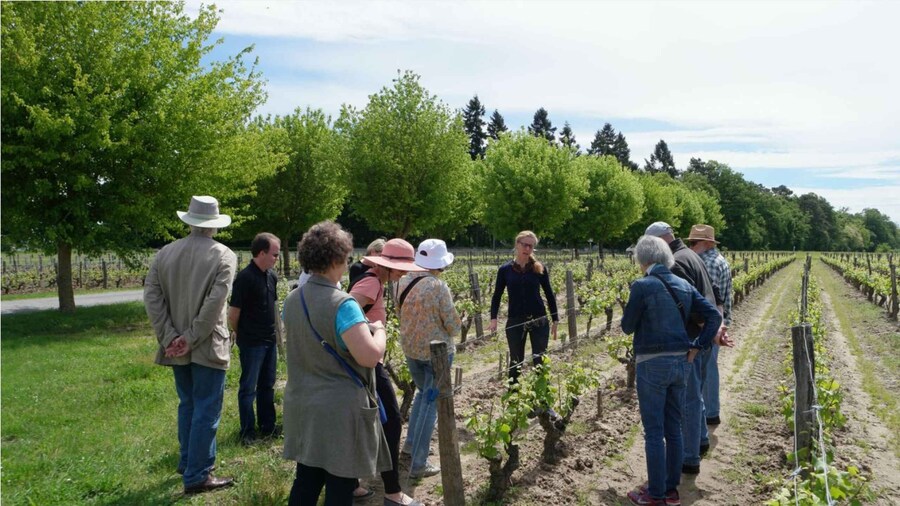 Loire Valley Tour & Wine Tasting Vouvray, Chinon, Bourgueil