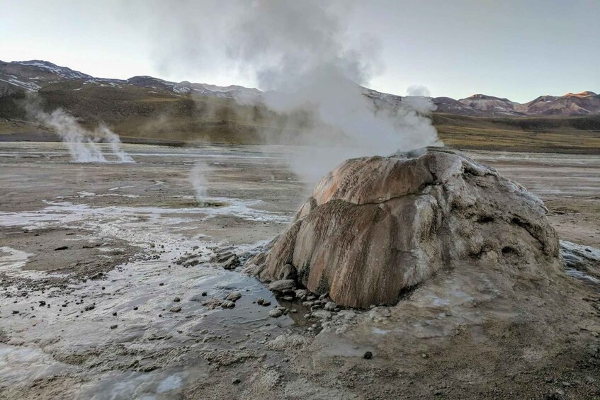 Picture 4 for Activity San Pedro de Atacama: El Tatio Geysers Tour