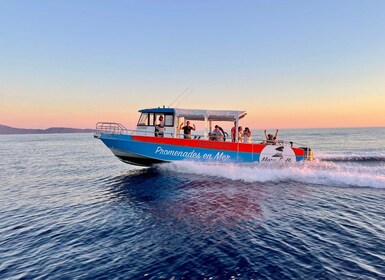 Cerca de Ajaccio: recorrido en barco por Scandola Piana con bebidas al atar...