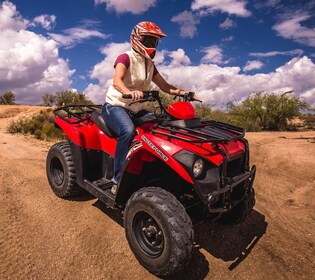 Désert de Sonoran : Excursion guidée de 2 heures en VTT