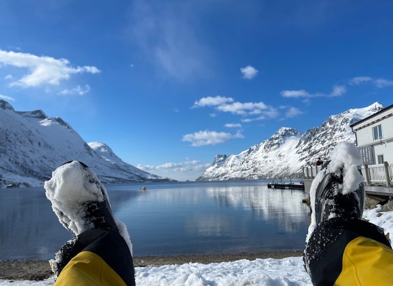 Picture 19 for Activity Tromso: Scenic & Eco-Friendly Snowshoeing Tour
