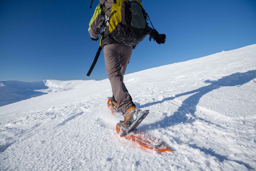 Picture 8 for Activity Tromso: Scenic & Eco-Friendly Snowshoeing Tour