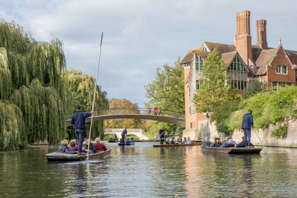 Cambridge: Alumni-ledd promenad- och utflyktstur med Kings College