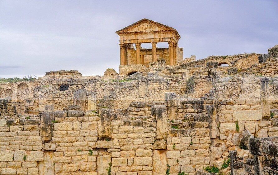 Picture 2 for Activity Dougga & Bulla Regia Private Full-Day Tour with Lunch