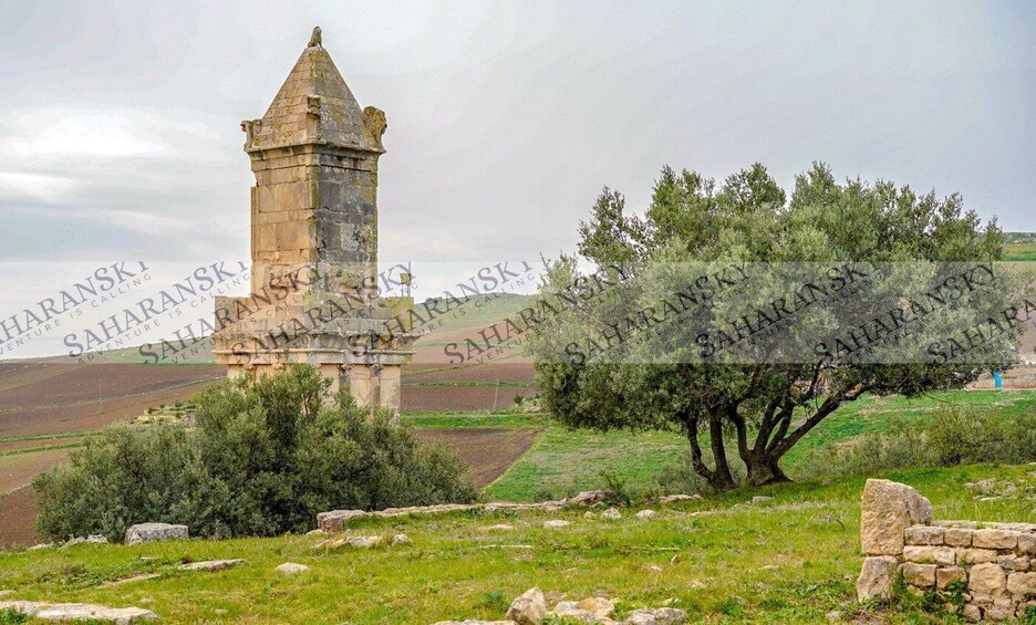 Picture 3 for Activity Dougga & Bulla Regia Private Full-Day Tour with Lunch