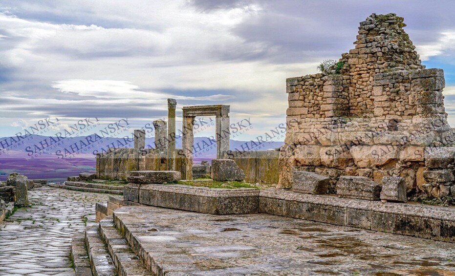 Picture 4 for Activity Dougga & Bulla Regia Private Full-Day Tour with Lunch
