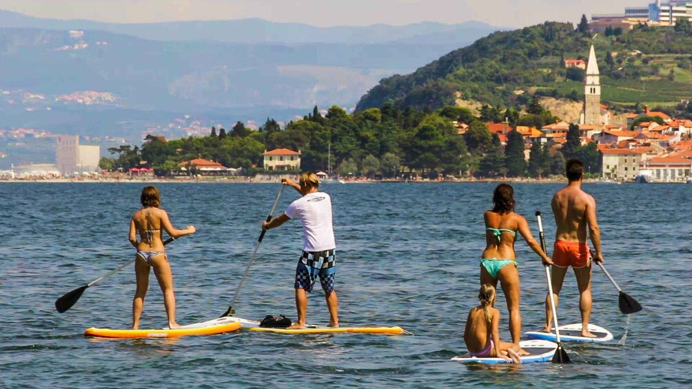 Picture 3 for Activity Stand up paddle course on the Slovenian coast