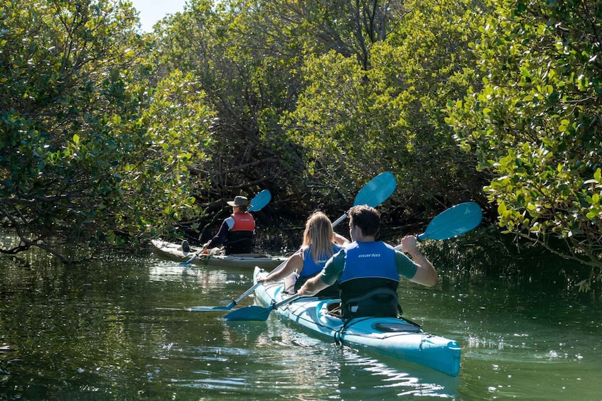 Picture 3 for Activity Adelaide: Dolphin Sanctuary Eco Kayaking Tour