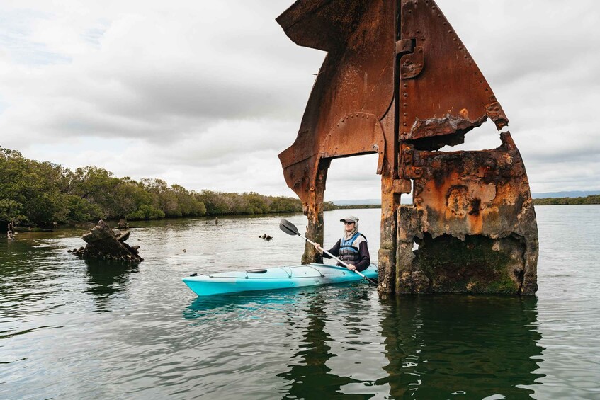 Picture 2 for Activity Adelaide: Dolphin Sanctuary Eco Kayaking Tour