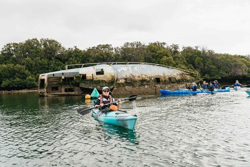 Picture 9 for Activity Adelaide: Dolphin Sanctuary Eco Kayaking Tour