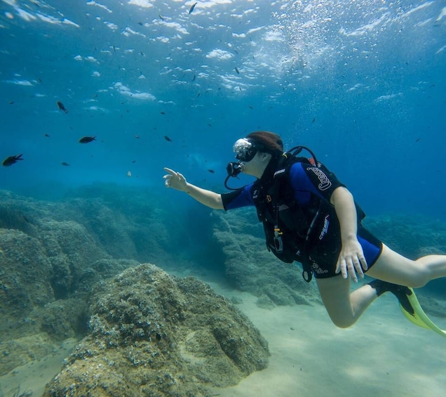 Picture 1 for Activity TOSSA DE MAR: Descubre el Buceo - Bautizo - Try Dive