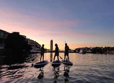Seville: Sunset and Evening Paddle Boarding Tour