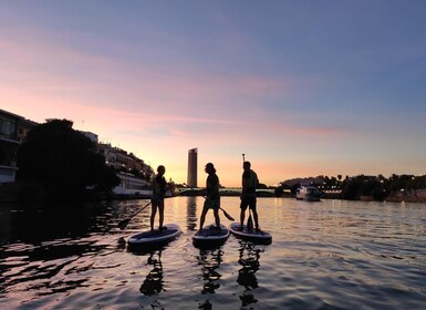 Sevilla: Sonnenuntergang und Abend Paddle Boarding Tour