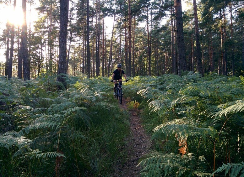 Picture 6 for Activity Ljubljana: City Center and Golovec Trails Mountain Bike Tour