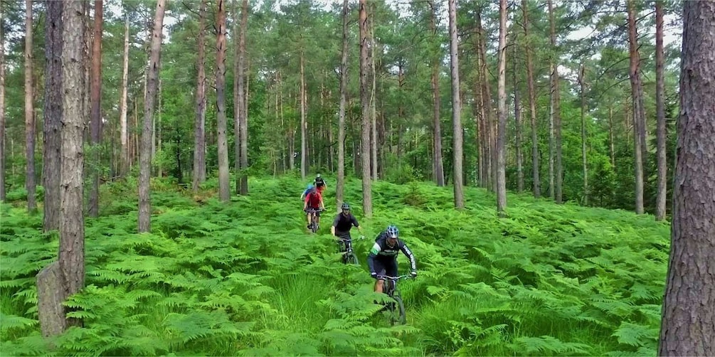 Picture 2 for Activity Ljubljana: City Center and Golovec Trails Mountain Bike Tour