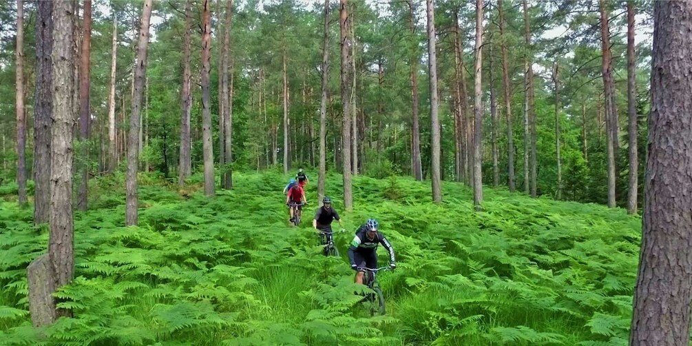 Picture 2 for Activity Ljubljana: City Center and Golovec Trails Mountain Bike Tour