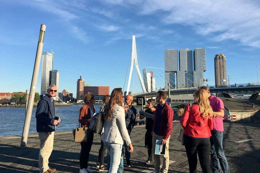 Rotterdam 2-Hour Grand Walking Tour