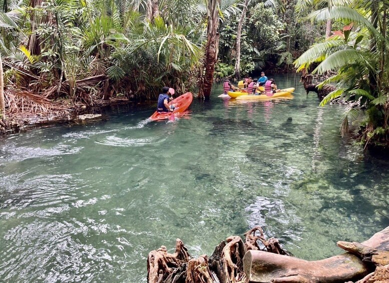 Picture 6 for Activity Krabi: Khlong Nam Sai Lagoon with Kayaking & Optional ATV