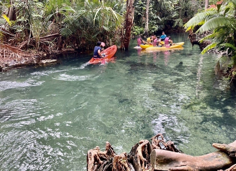 Picture 6 for Activity Krabi: Khlong Nam Sai Lagoon with Kayaking & Optional ATV