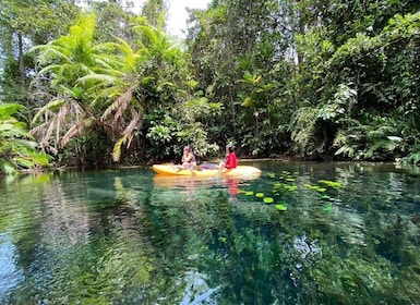 甲米：带皮划艇和可选全地形车的 Khlong Nam Sai 泻湖