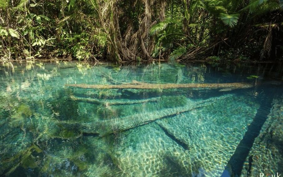 Picture 1 for Activity Krabi: Khlong Nam Sai Lagoon with Kayaking & Optional ATV