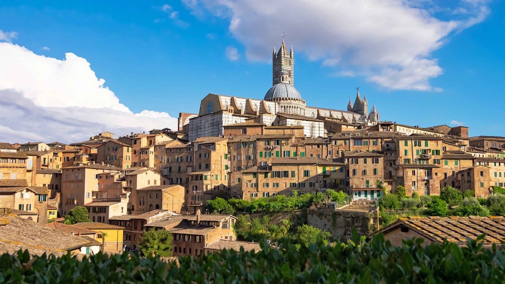 Siena: Escape Tour - Self-Guided Citygame