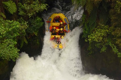 Rotorua: Kaituna Rafting & Mt. Tarawera Vandring Combo