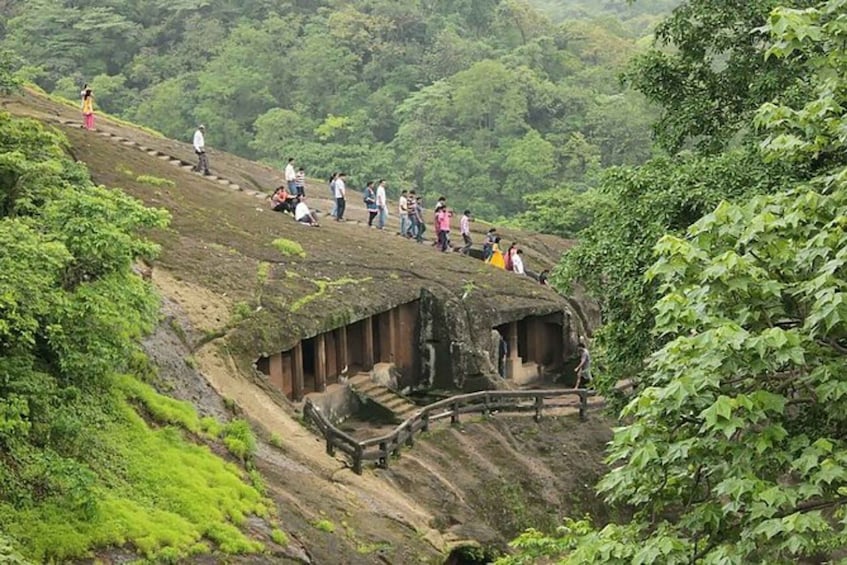 Picture 7 for Activity From Mumbai: Sanjay Gandhi Park Safari & Kanheri Caves Tour