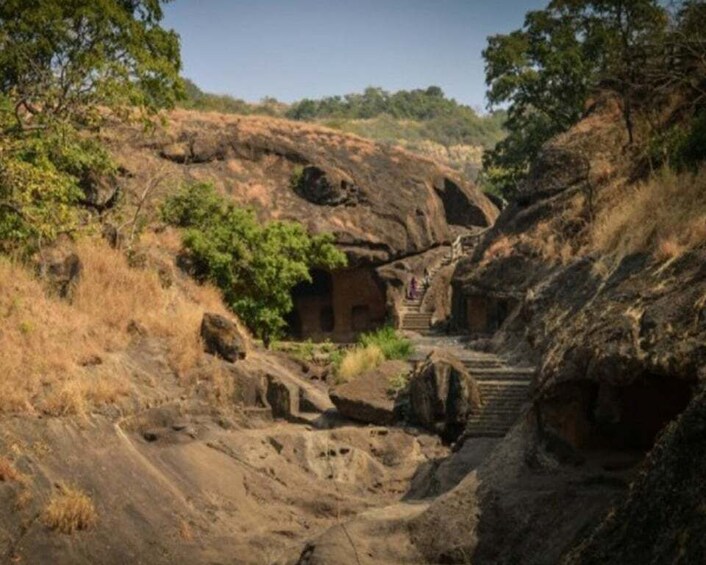 Picture 3 for Activity From Mumbai: Sanjay Gandhi Park Safari & Kanheri Caves Tour